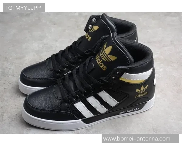 阿迪达斯篮球明星的传奇之路与他们的荣耀时刻分享