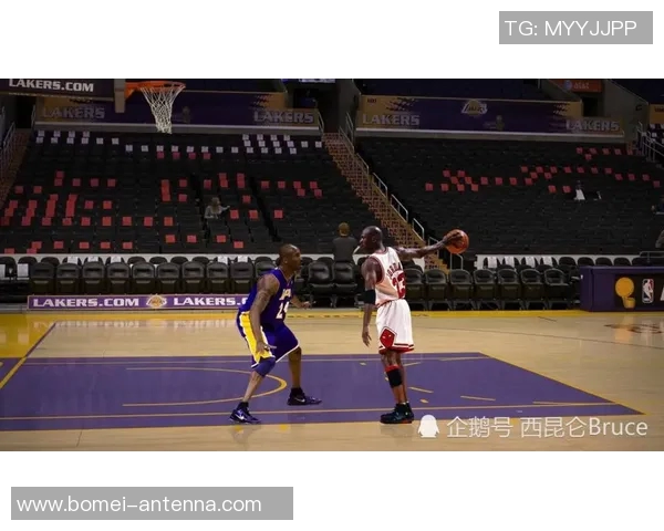 国内外篮球运动明星的风格与成就全面对比分析